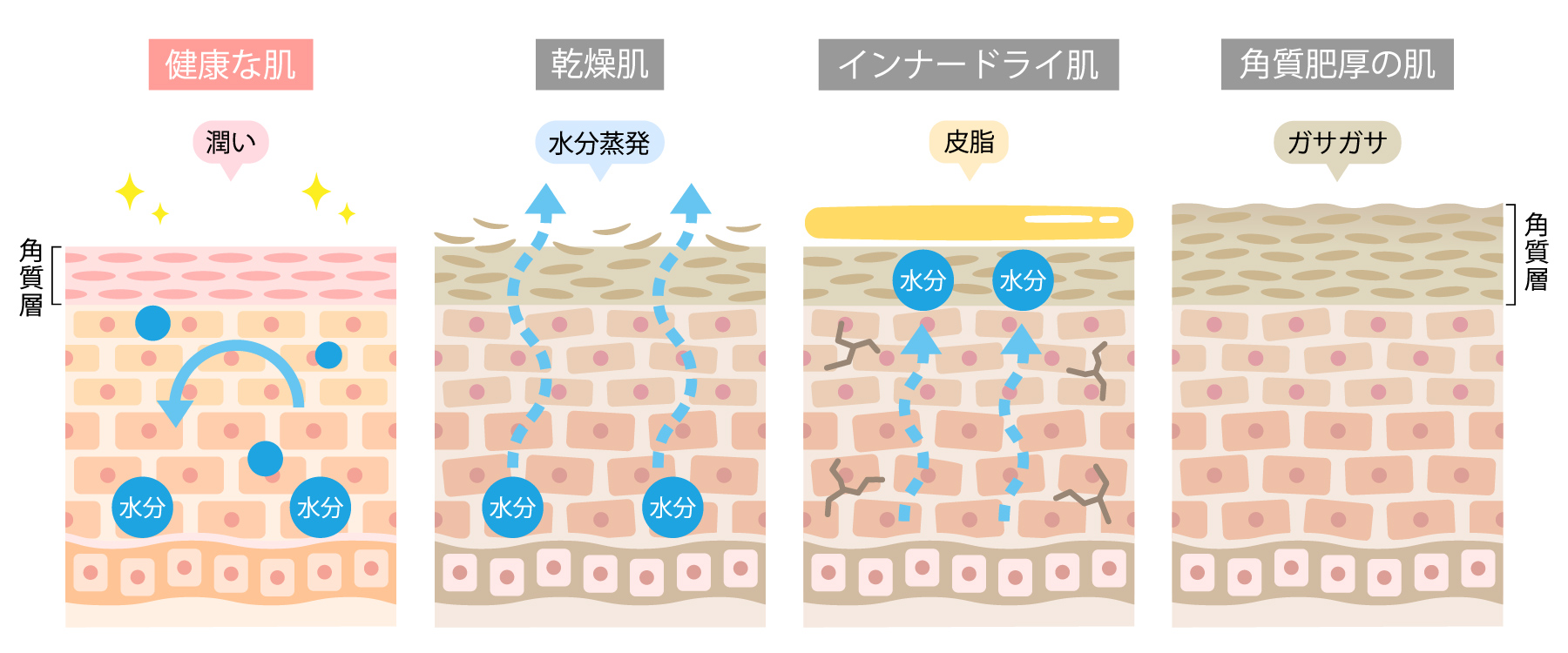 健康な肌